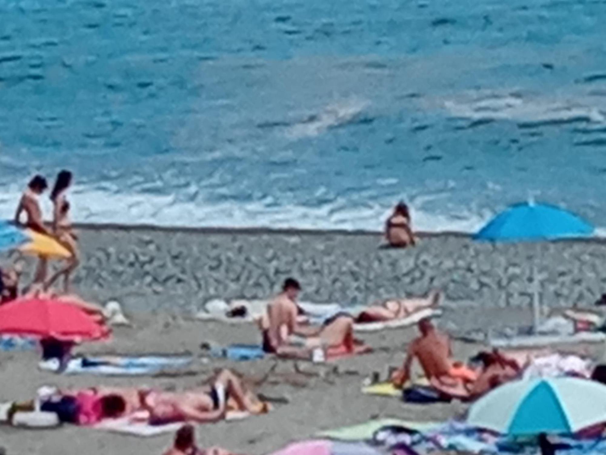 Casa Al Mare Pietro Apartment Varazze Bagian luar foto